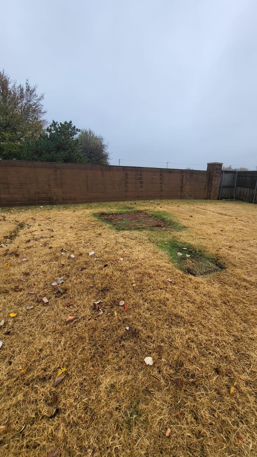 Yard after